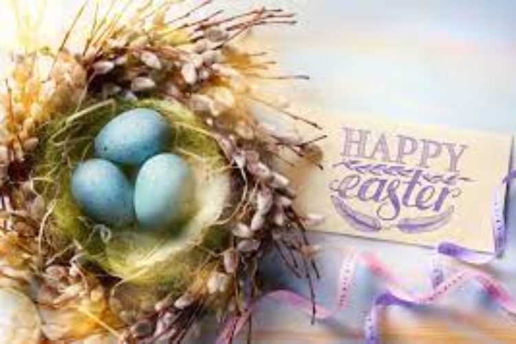 Victoria Point Chiropractic & Brisbane CBD Chiropractic Trading Hours April 2025