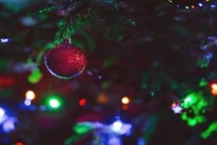 Festive Season Wishes 2025-2026